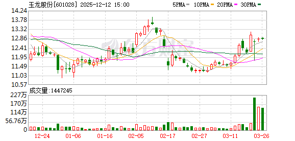 玉龍股份股吧，深度解析與前景展望，玉龍股份股吧深度解析及前景展望