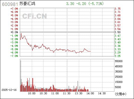 揭秘?cái)?shù)字背后的故事，探索600981的神秘面紗，揭秘?cái)?shù)字之謎，探尋600981的神秘面紗
