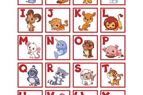 王中王016指一生肖，深度解析與SEO優(yōu)化策略，王中王016指定生肖，深度解析及SEO優(yōu)化策略全攻略