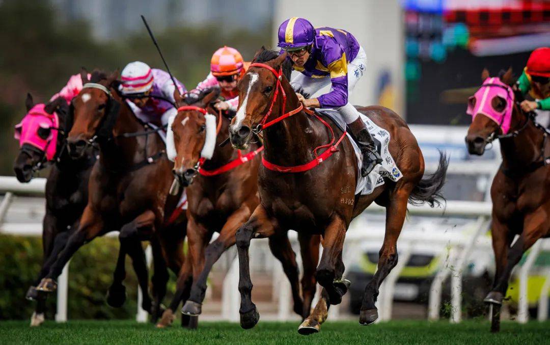 香港賽馬，探索賽馬運動的魅力與激情——7777788888的獨特魅力，香港賽馬，探索賽馬運動的激情與獨特魅力——7777788888的獨特體驗